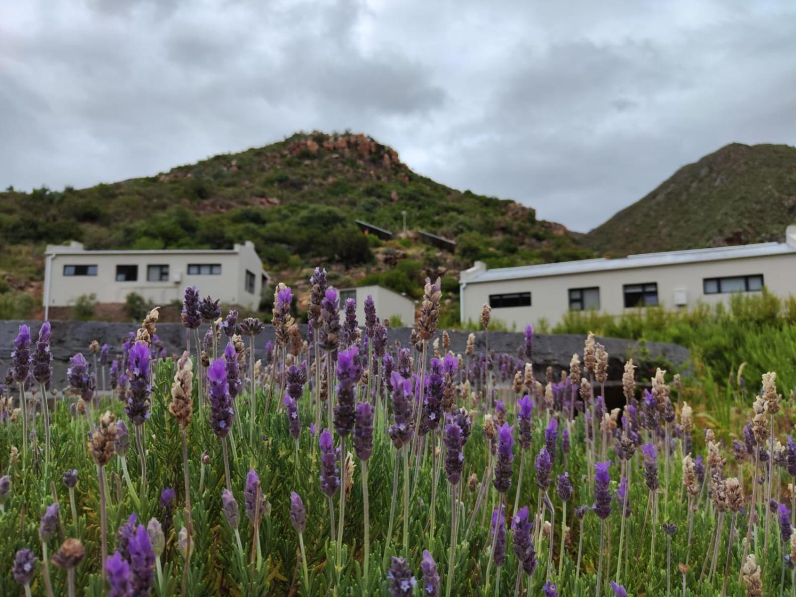 Roodekloof Apartamento Montagu Exterior foto